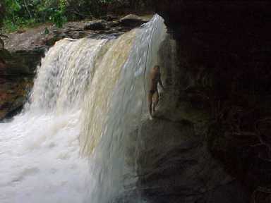 18b_cachoeira_araras.jpg - 10256 Bytes