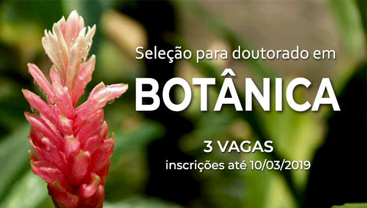 banner doutorado botanica