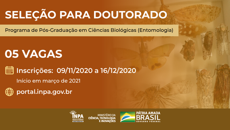 banner entomologia 11 2020